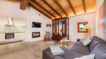 Televisie, een open haard en een tafeltennistafel