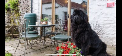 Ty Fferm  Hen Coity Bach Farm, over looking Toal y fory