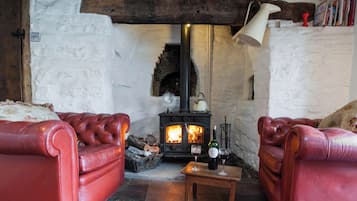 Smart TV, fireplace, DVD player, books