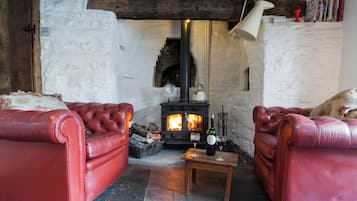 Smart TV, fireplace, DVD player, books