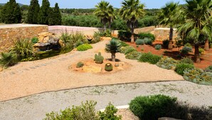 Jardí paisatjistic amb cactus, palmeres i una paret de pedra.
