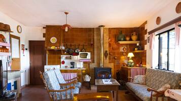 Fernseher