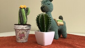 Two crocheted plants in pots on a red surface. - A un paso de todo Lo de Richard (Ushuaia)