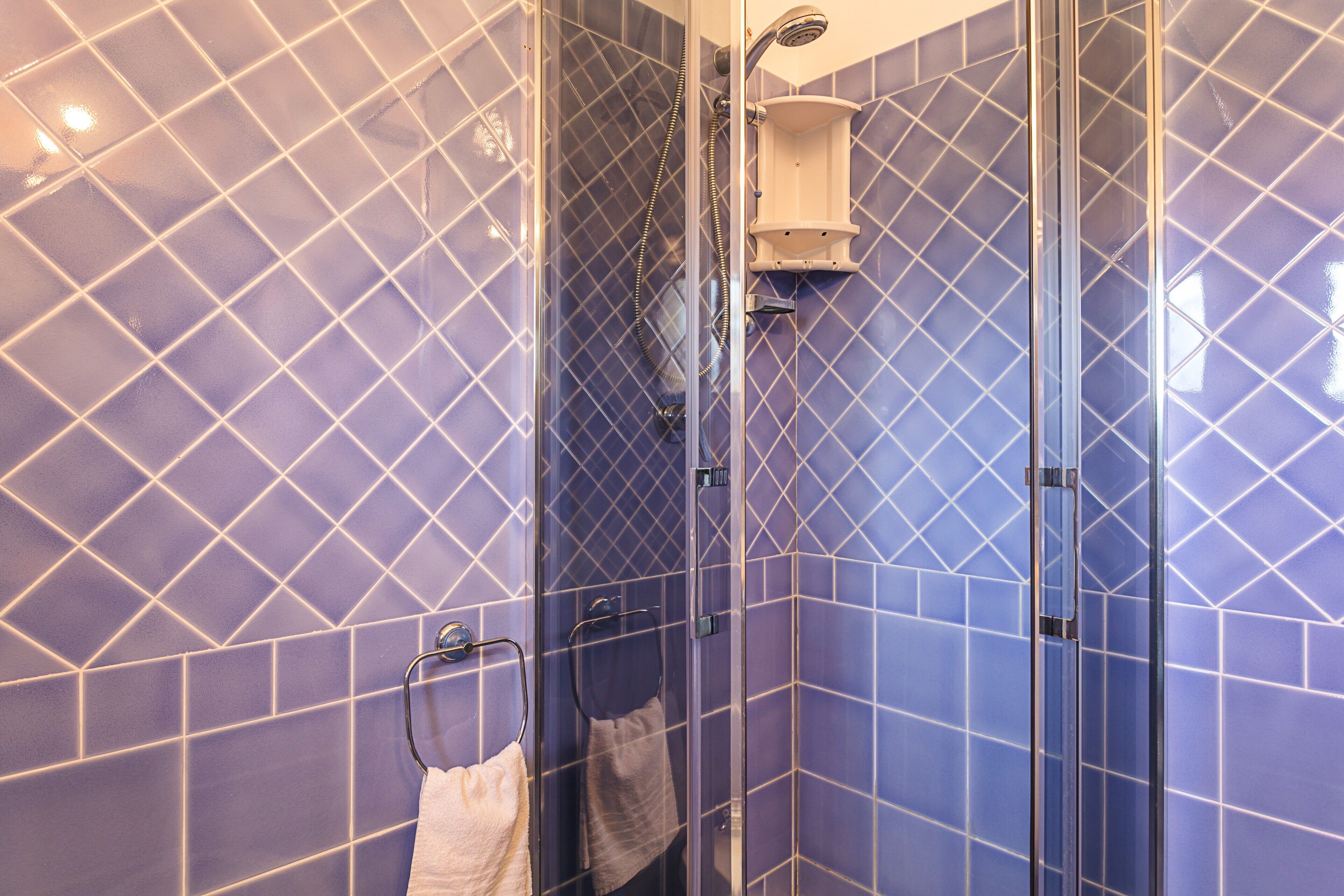 Shower, free toiletries, towels