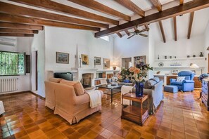 TV, fireplace, table tennis