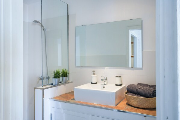 Une salle de bain moderne avec une douche à l’italienne en verre, un lavabo blanc avec un miroir au-dessus, et une petite plante posée sur le plan de travail.