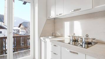 Fridge, microwave, stovetop, dishwasher