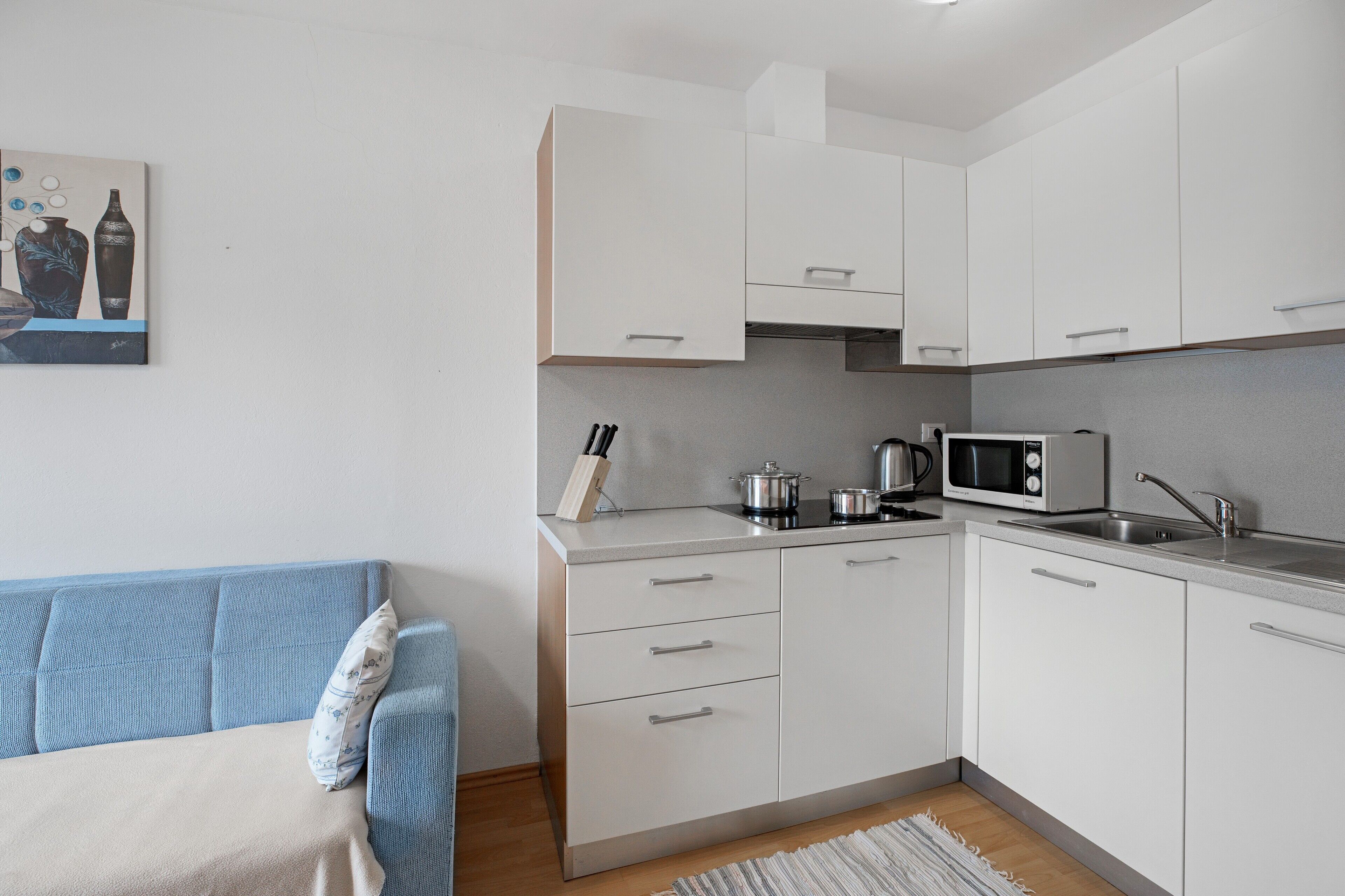 Kühlschrank, Mikrowelle, Herdplatte, Geschirrspüler