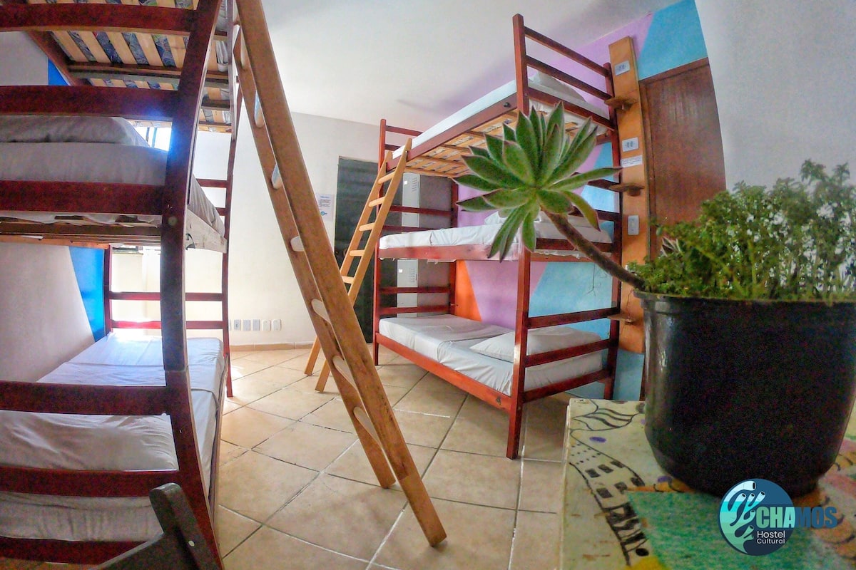 Shared Dormitory, Women only
