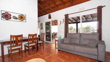 TV, DVD player, ping pong, stereo