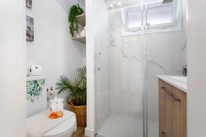 Shower, hair dryer, towels