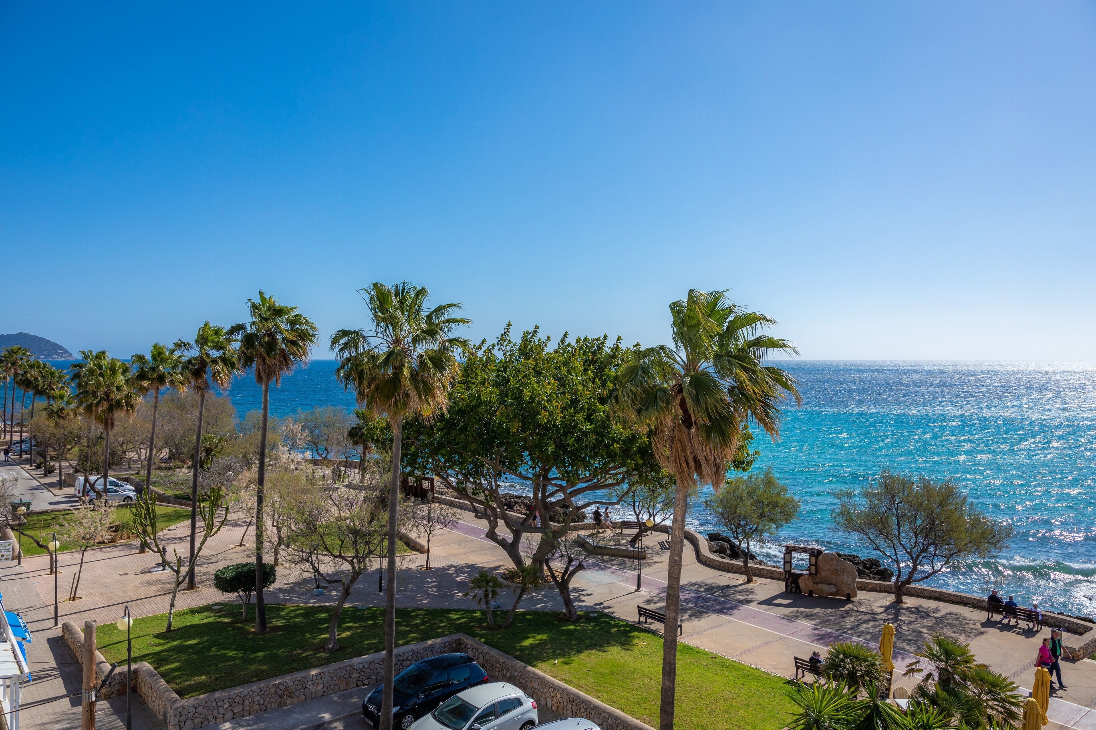 Vista costera con palmeras, un camino pavimentado y vistas al mar.