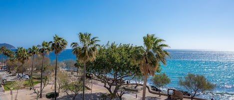 Vista costera con palmeras, un camino pavimentado y vistas al mar.
