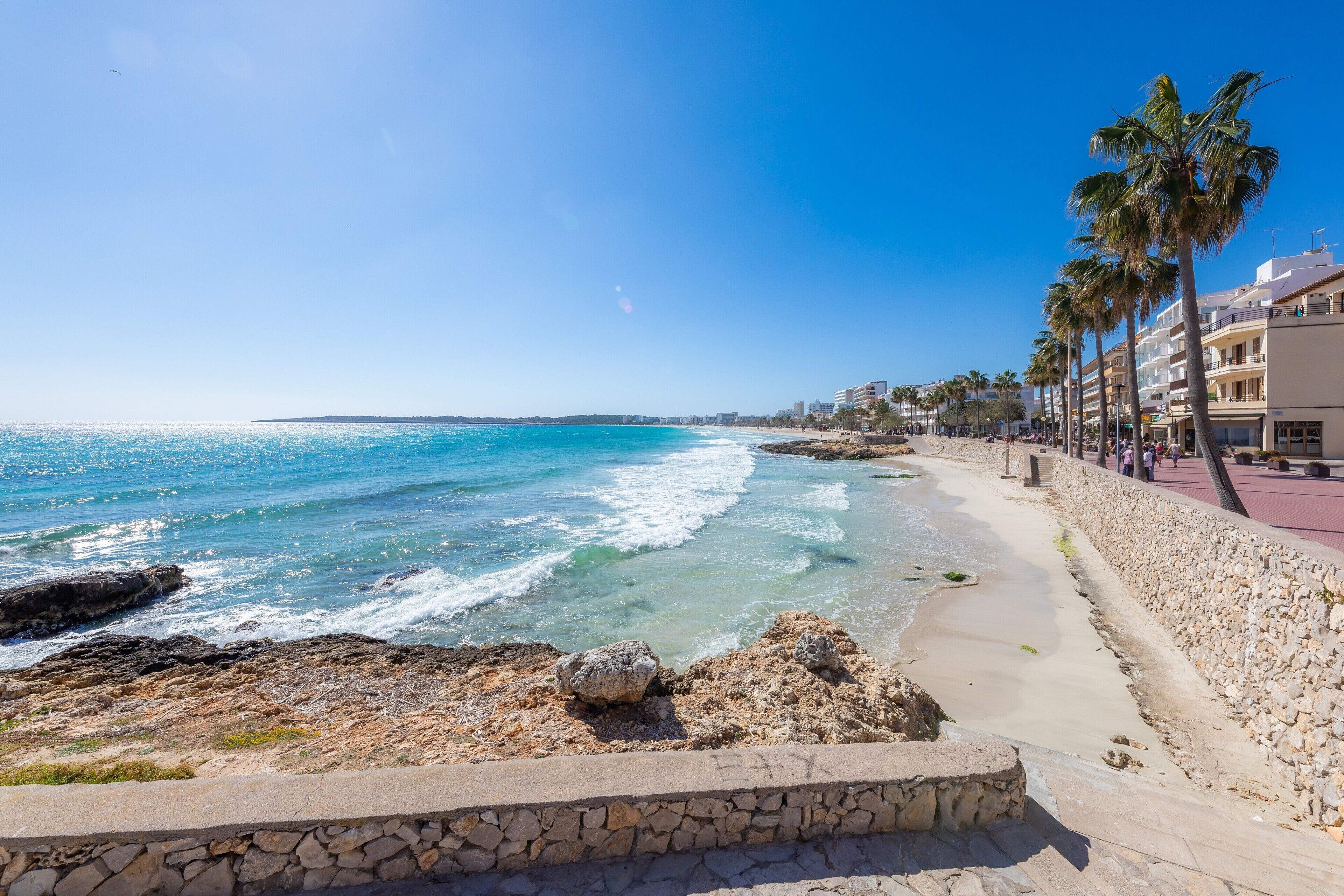 A coastal walkway with a stone wall, palm trees, and a view of the sea.