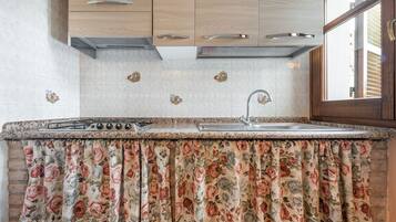 Fridge, oven, stovetop, cookware/dishes/utensils