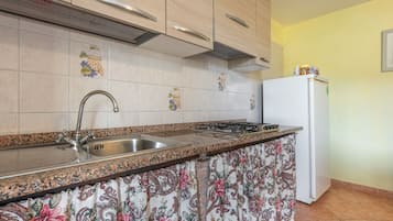 Fridge, stovetop, cookware/dishes/utensils, spices