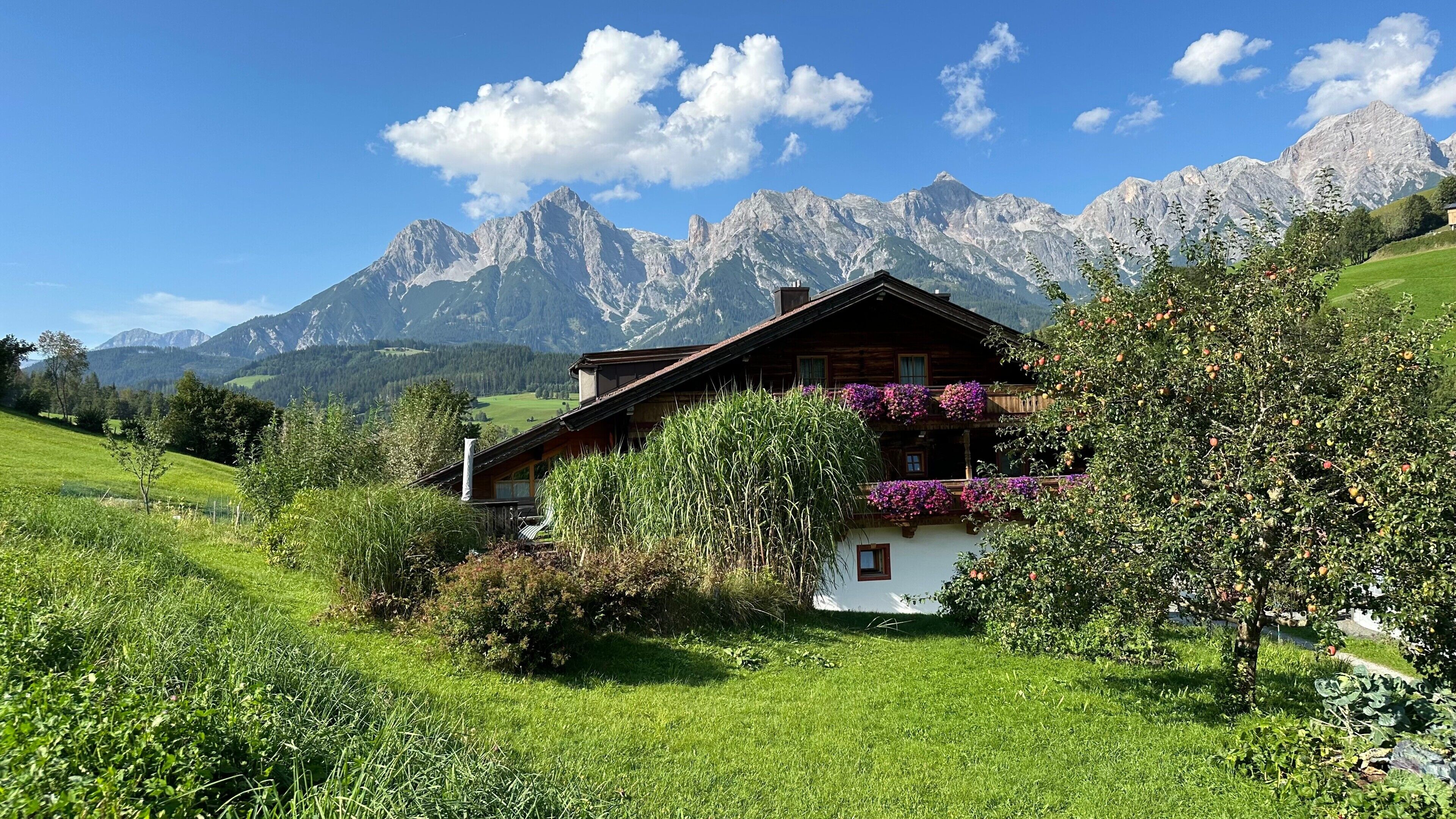 Eine Chalet mit Balkon, umgeben von üppiger Vegetation und Bergen.