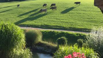 Een uitzicht over een groen veld met grazende koeien, een rivier en een heldere lucht.