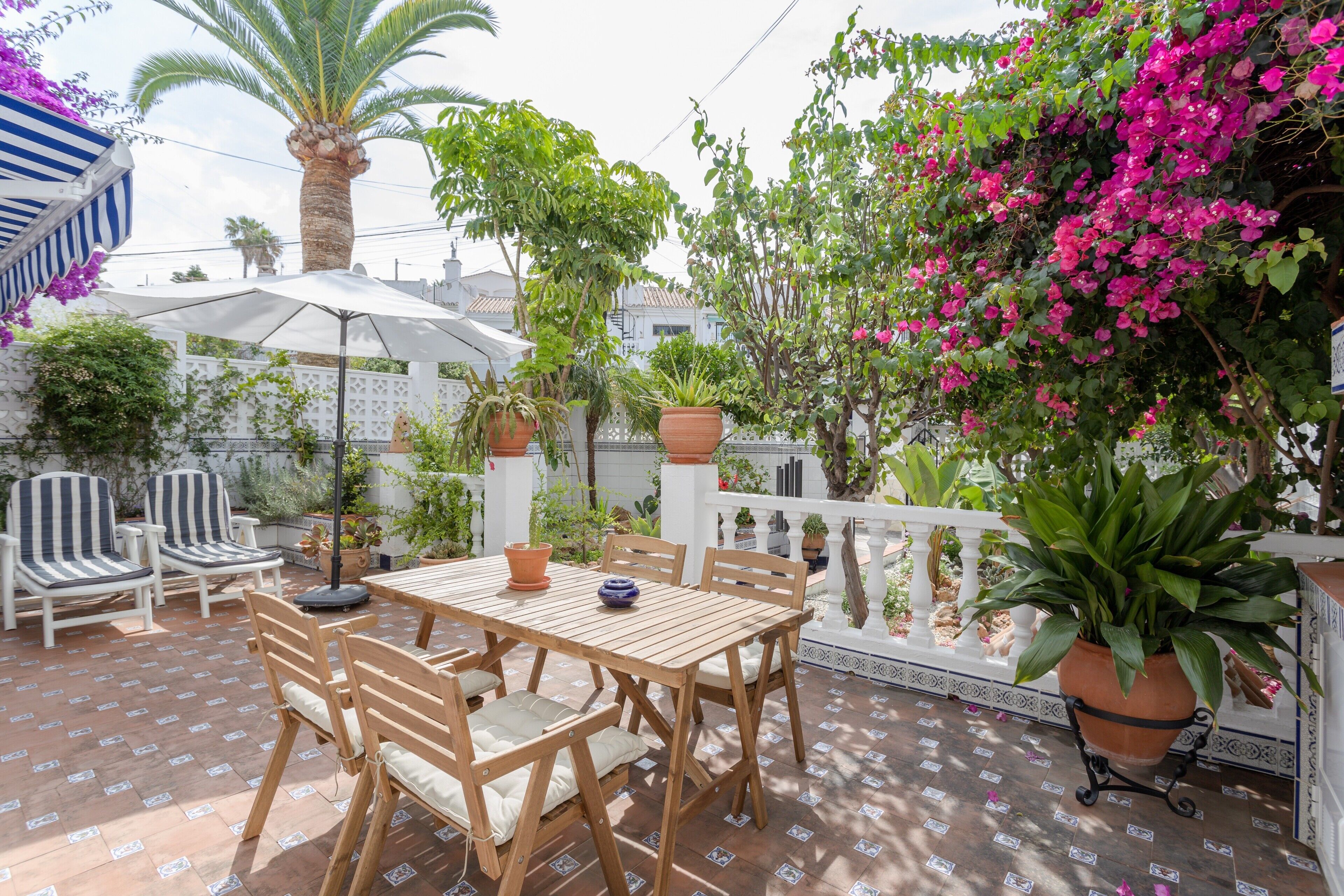 Patio esterno con tavolo e sedie di legno, circondato da vasi con piante e una palma.