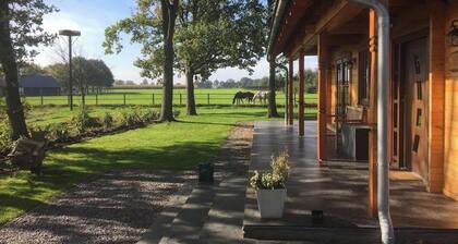 Luxury Wooden Villa Tine in Forested Area with Stunning Views of the Countryside