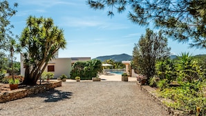 Una casa moderna con camino de grava, plantas en macetas y una piscina.
