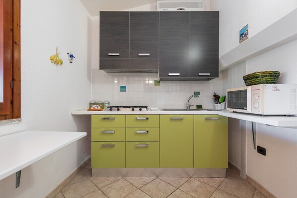 Frigorífico, microondas, horno y placa de cocina