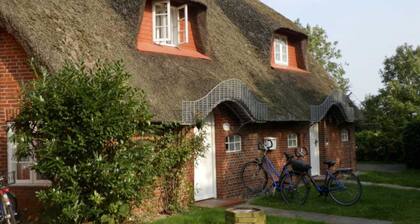 Poussin des marais, Wrixum