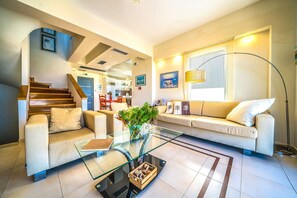 Smart TV, fireplace, DVD player, books
