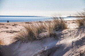 Plage à proximité