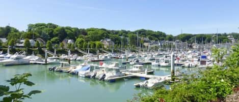 Marina