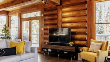 Smart TV, fireplace, stereo