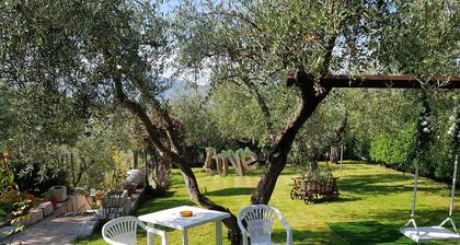 B&B Villa Maria Paola Resort Isernia
