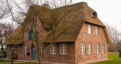 Föhrhaus, omakotitalo, niveltyö