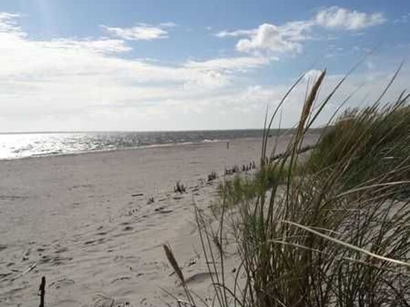 In Strandnähe
