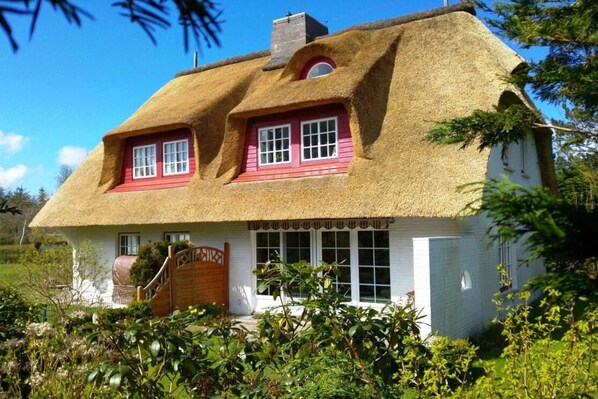 Immagine non classificata, 1 di 11, pulsante