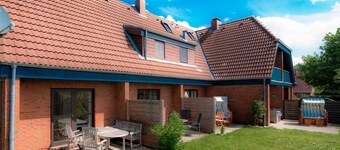 Oystercatcher, Guatingwai 12 FH 2