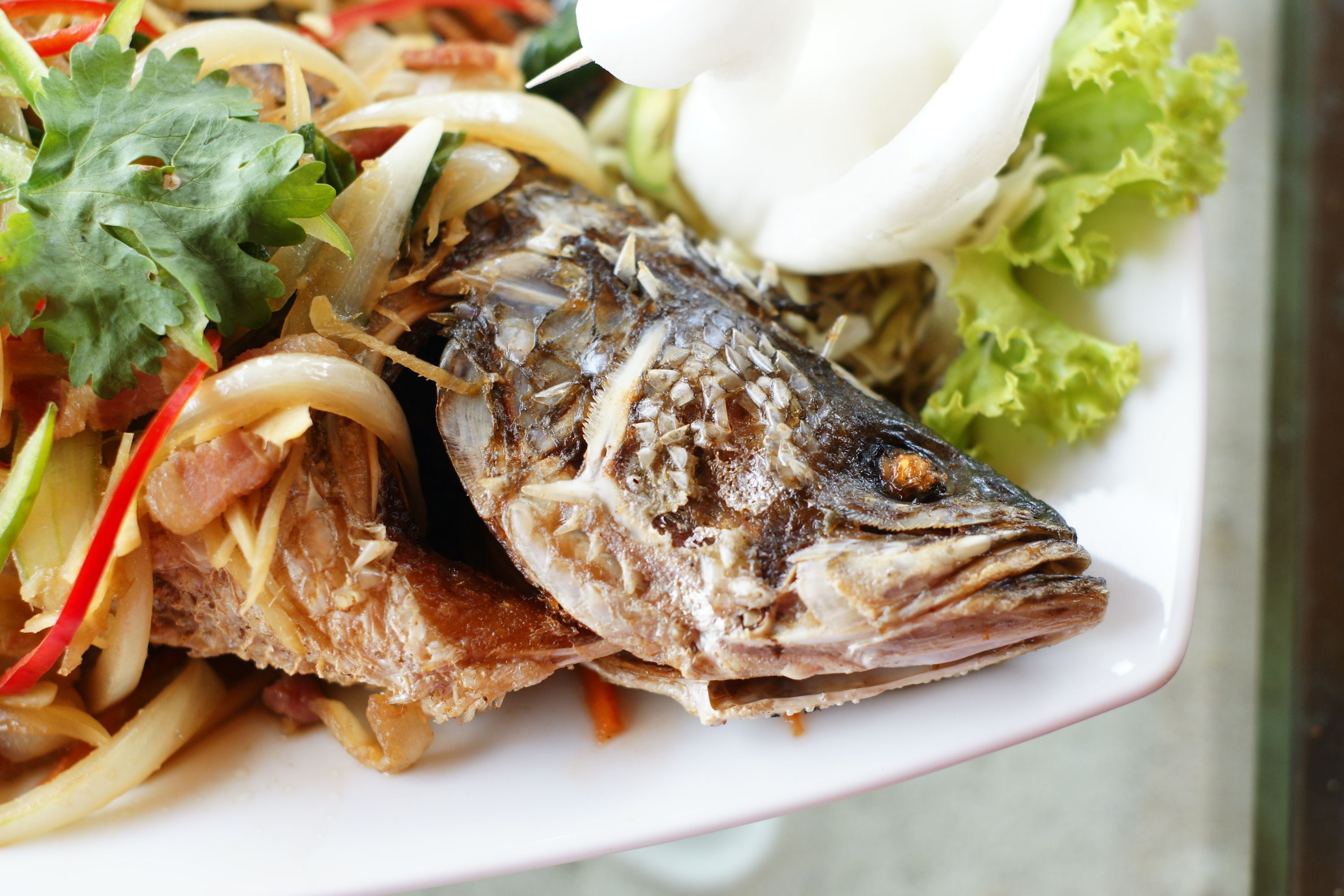 Ein Teller mit gegrilltem Fisch, Gemüse und einer weißen Blume.