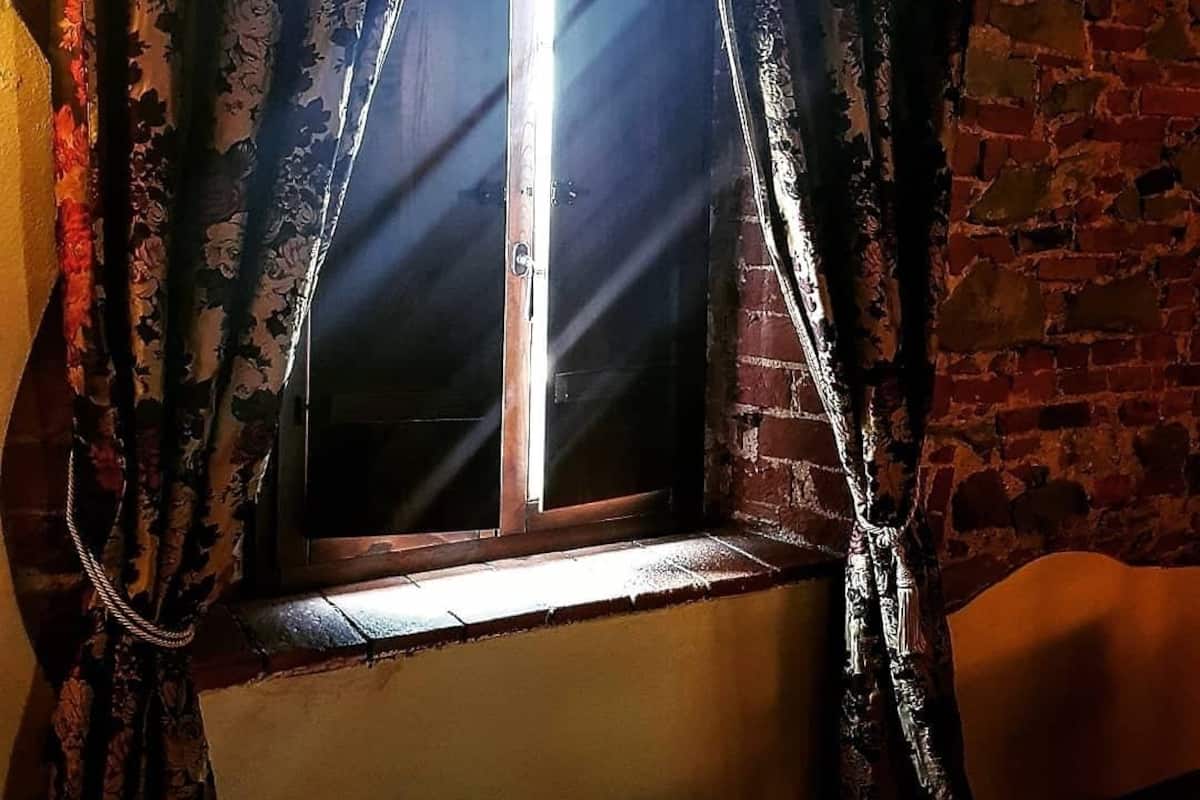 Une fenêtre donnant sur un mur de briques et une porte.