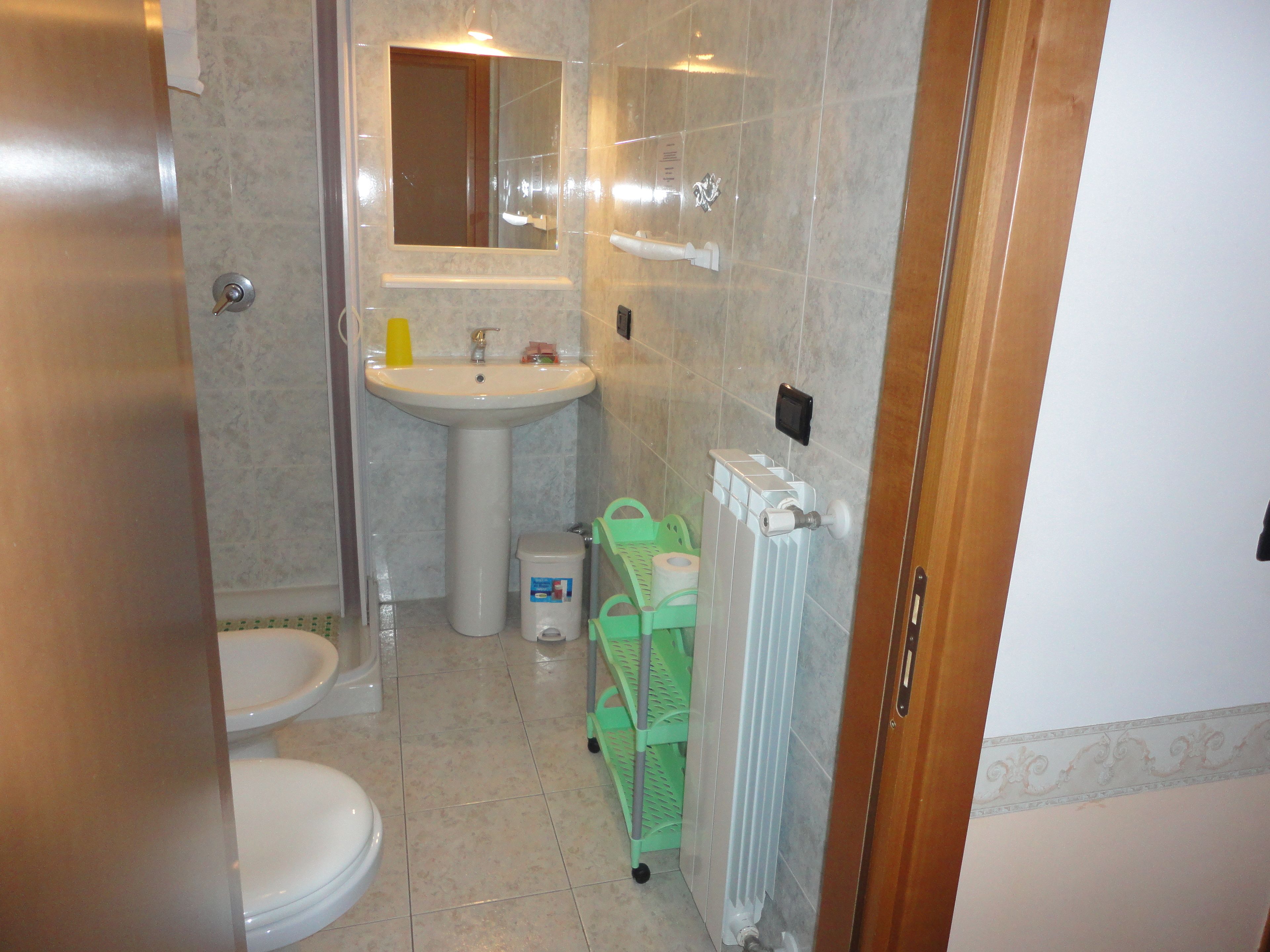 shower, free toiletries, hair dryer, bidet