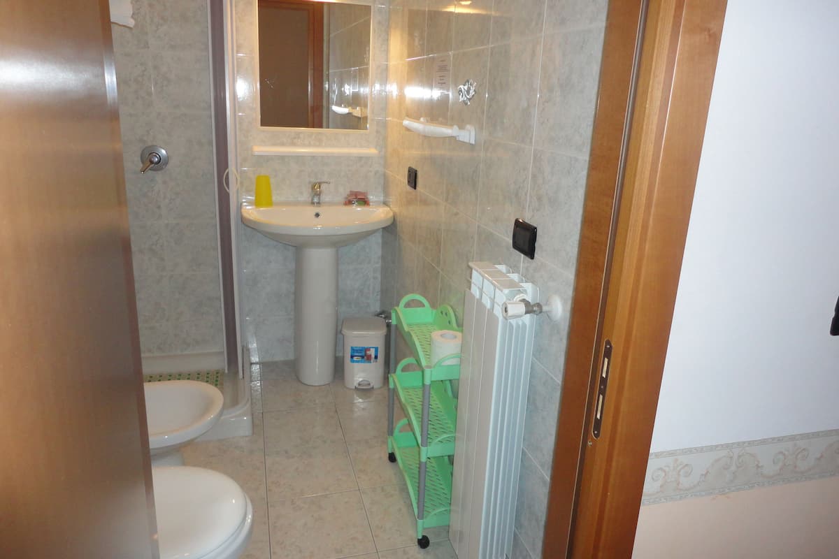shower, free toiletries, hair dryer, bidet