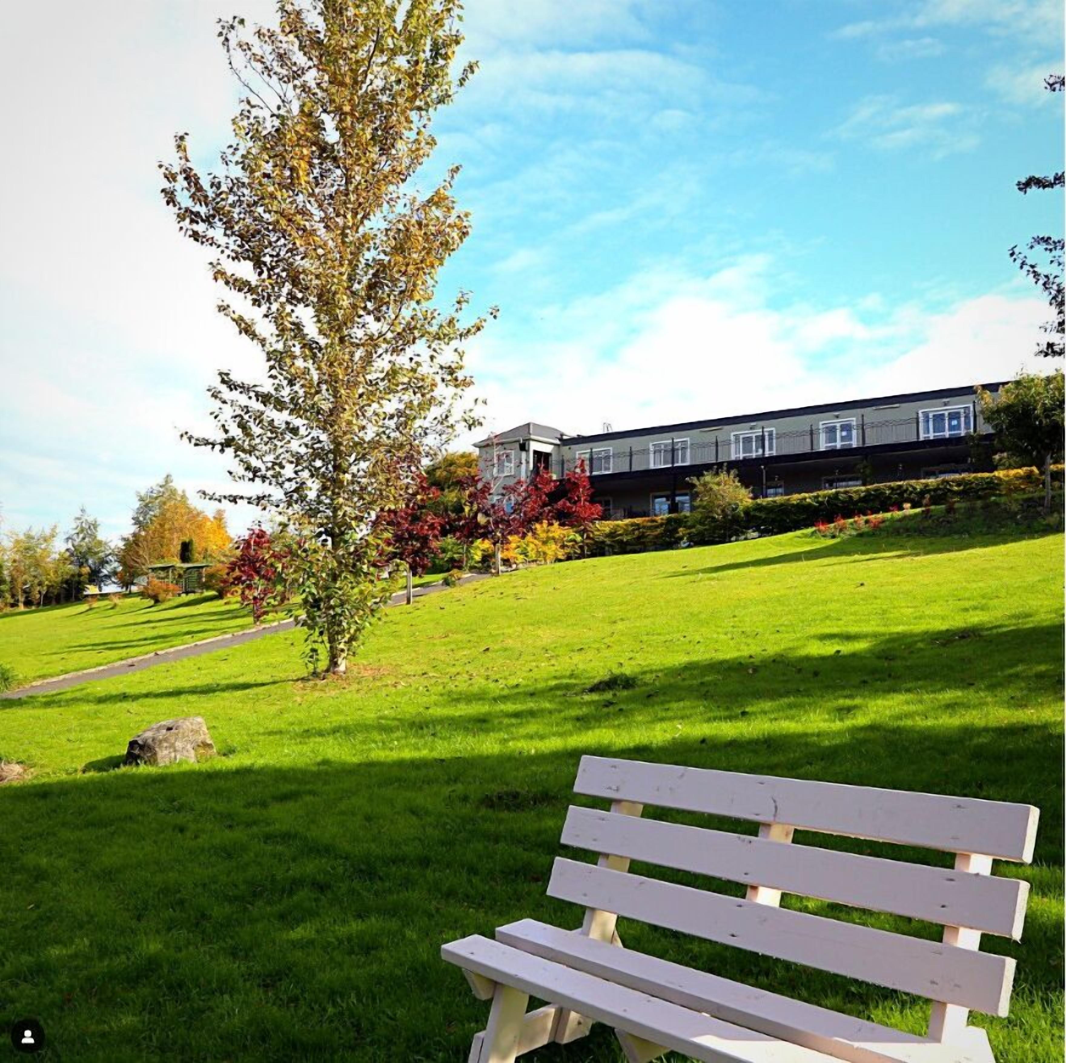 A grassy area with a bench, a tree, and a building with multiple windows in the background.