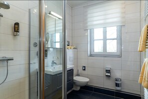 Shower, hair dryer, towels