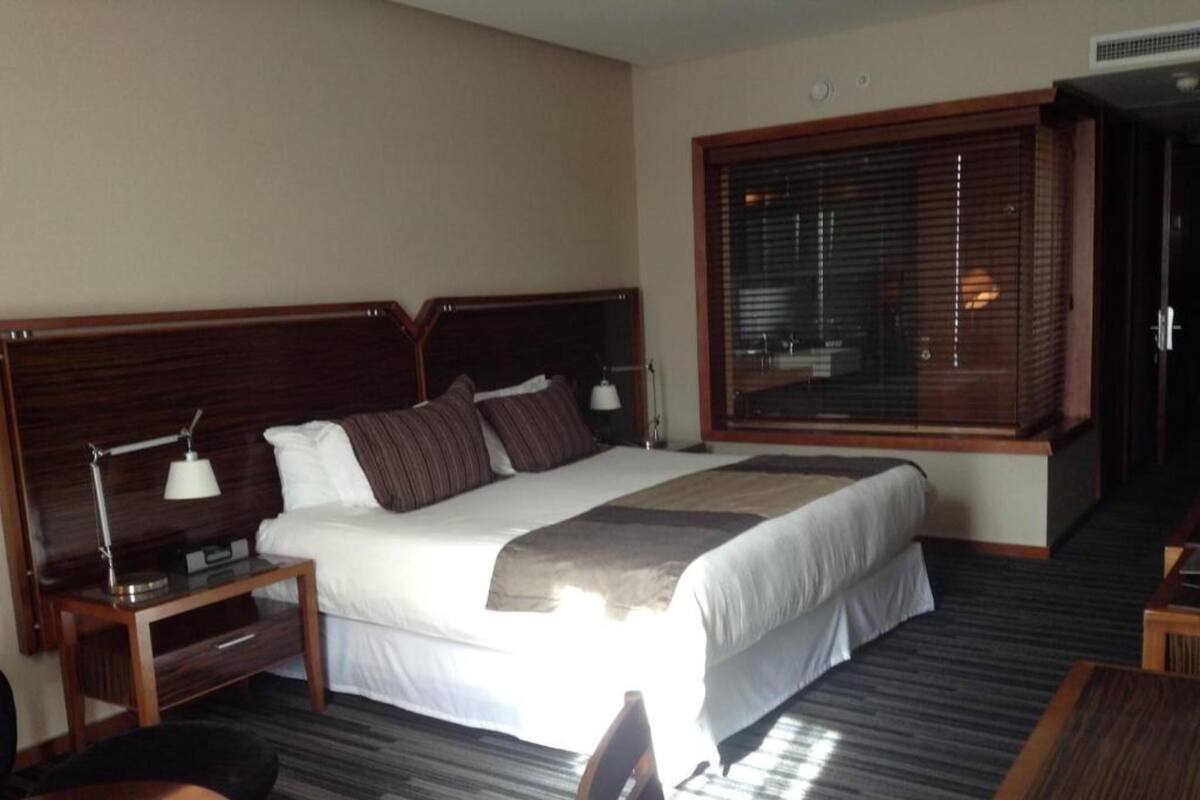 Standard Room, 1 King Bed, City View | Premium bedding, minibar, in-room safe, desk
