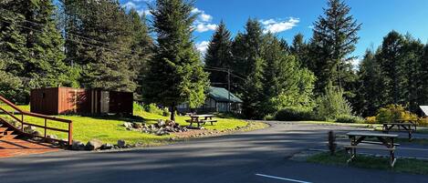 A road leading to a cabin with picnic tables and a small shed.