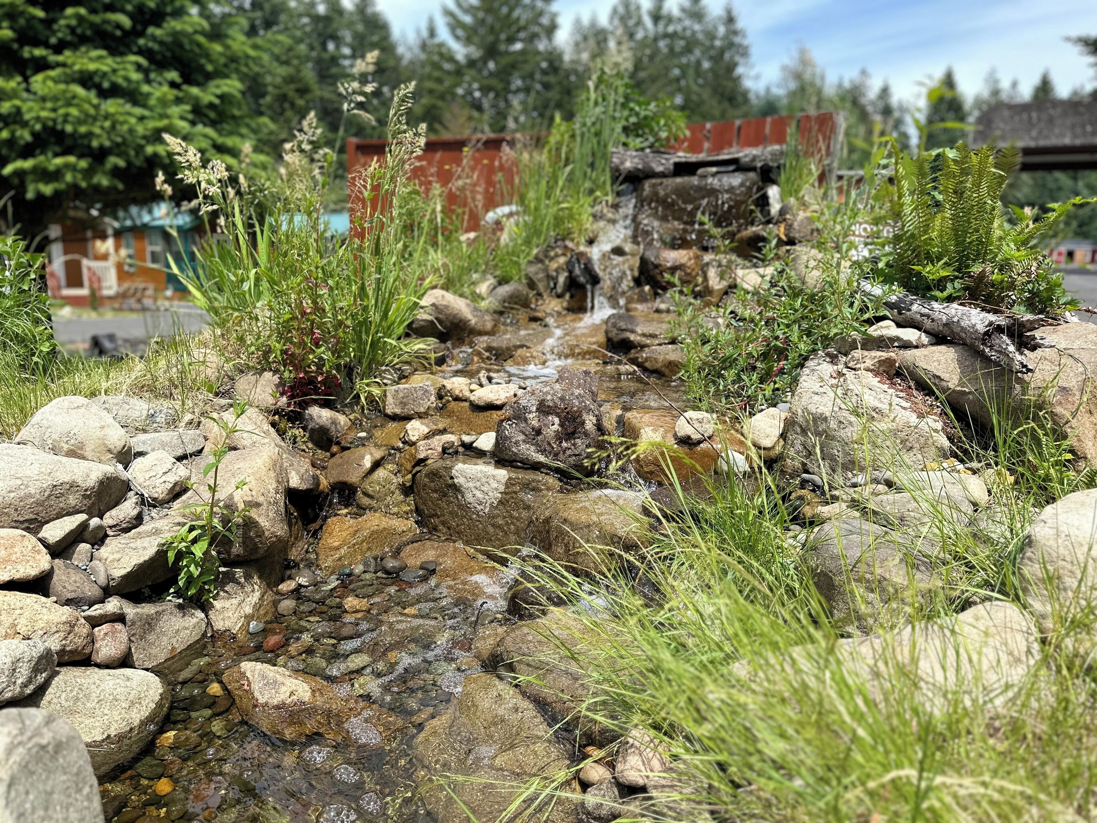 Jardim