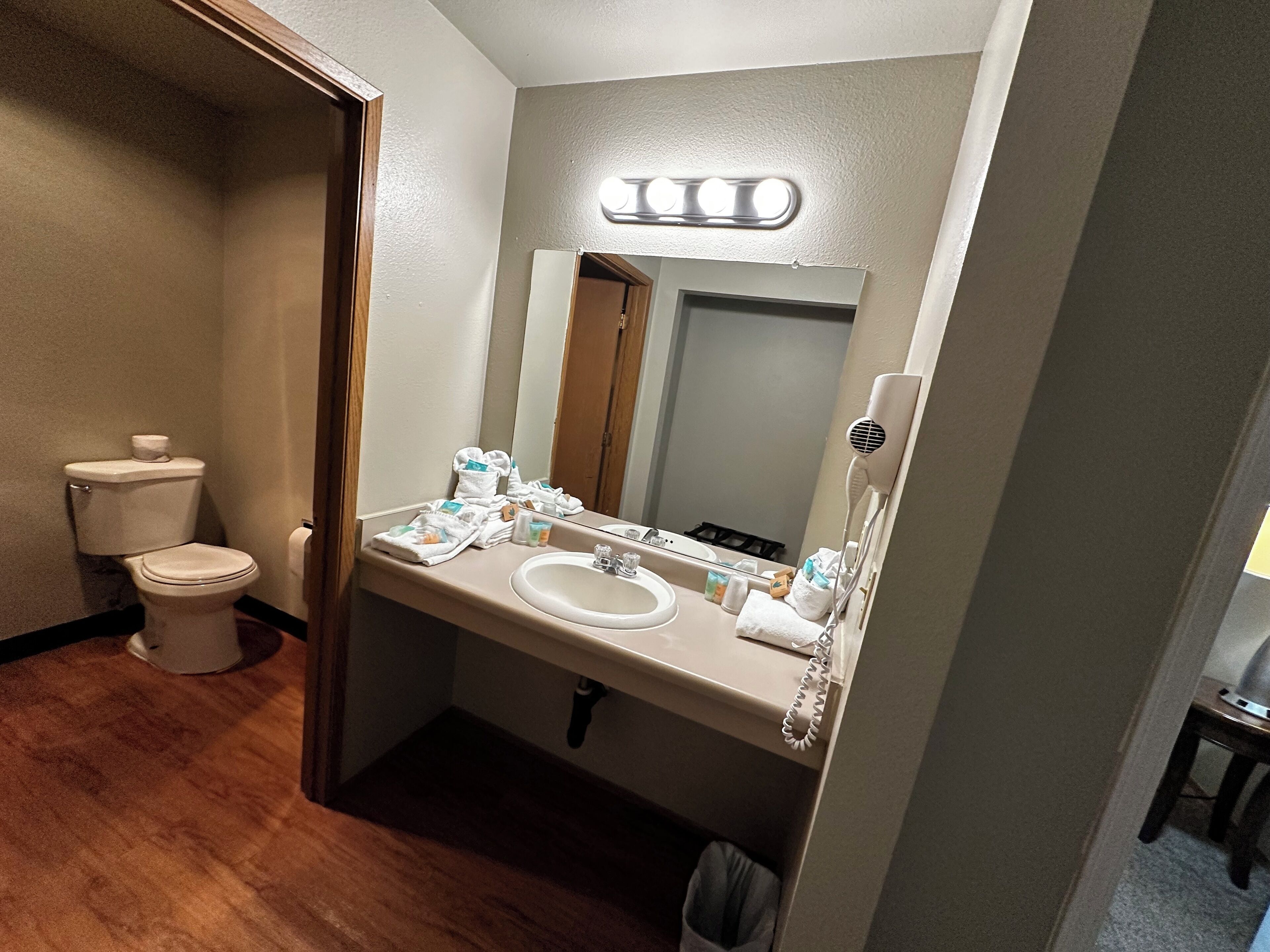 A bathroom with a toilet, sink, mirror, and a hairdryer.