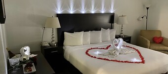 Clarion Inn near McAllen Airport