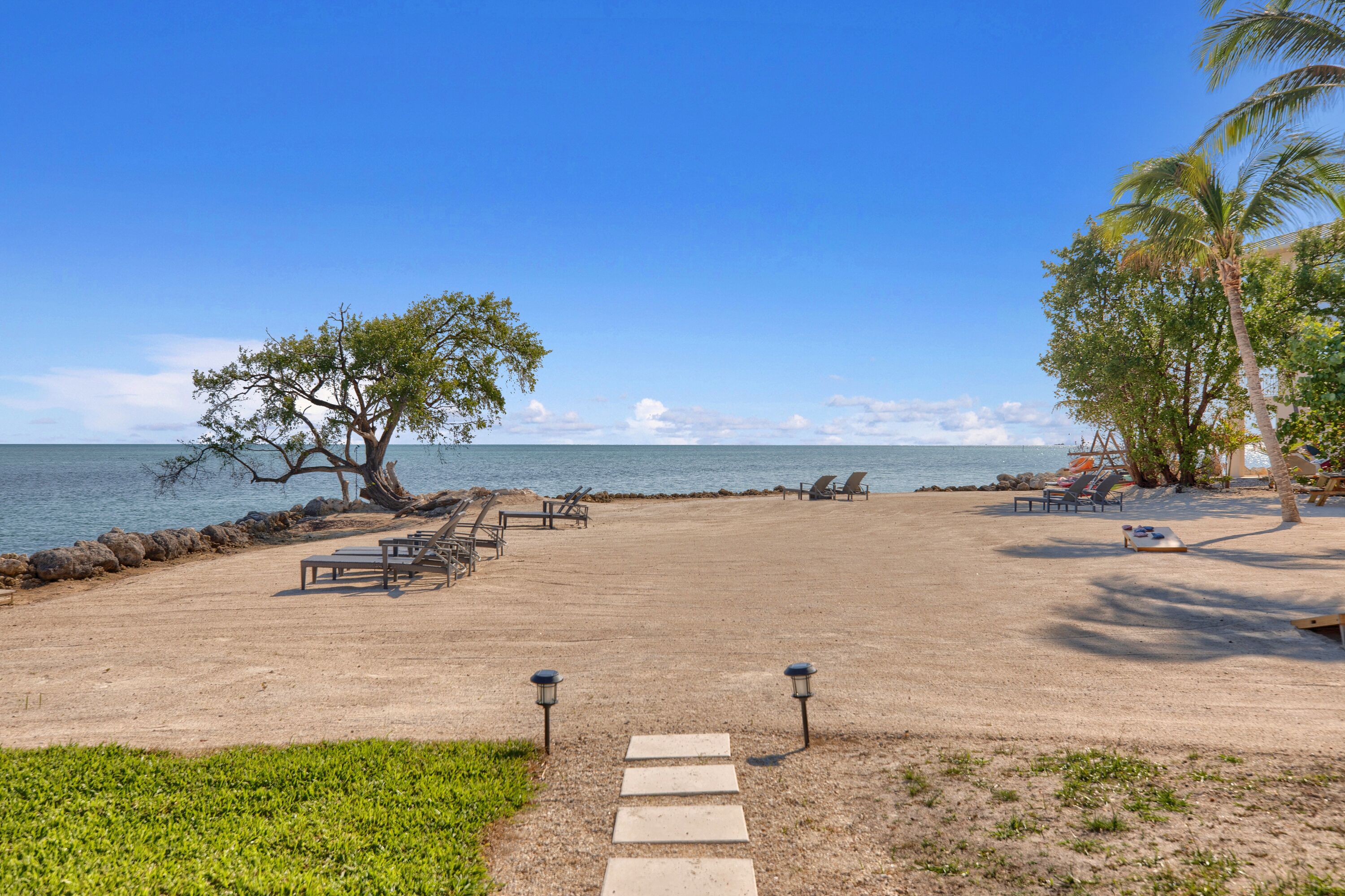 A beach with lounge chairs, a palm tree, and a clear view of the ocean.