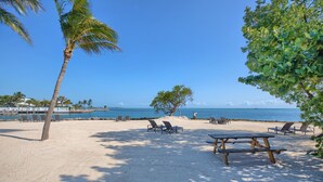 A beach with palm trees, lounge chairs, and a picnic table. - Seascape Resort & Marina (Marathon)