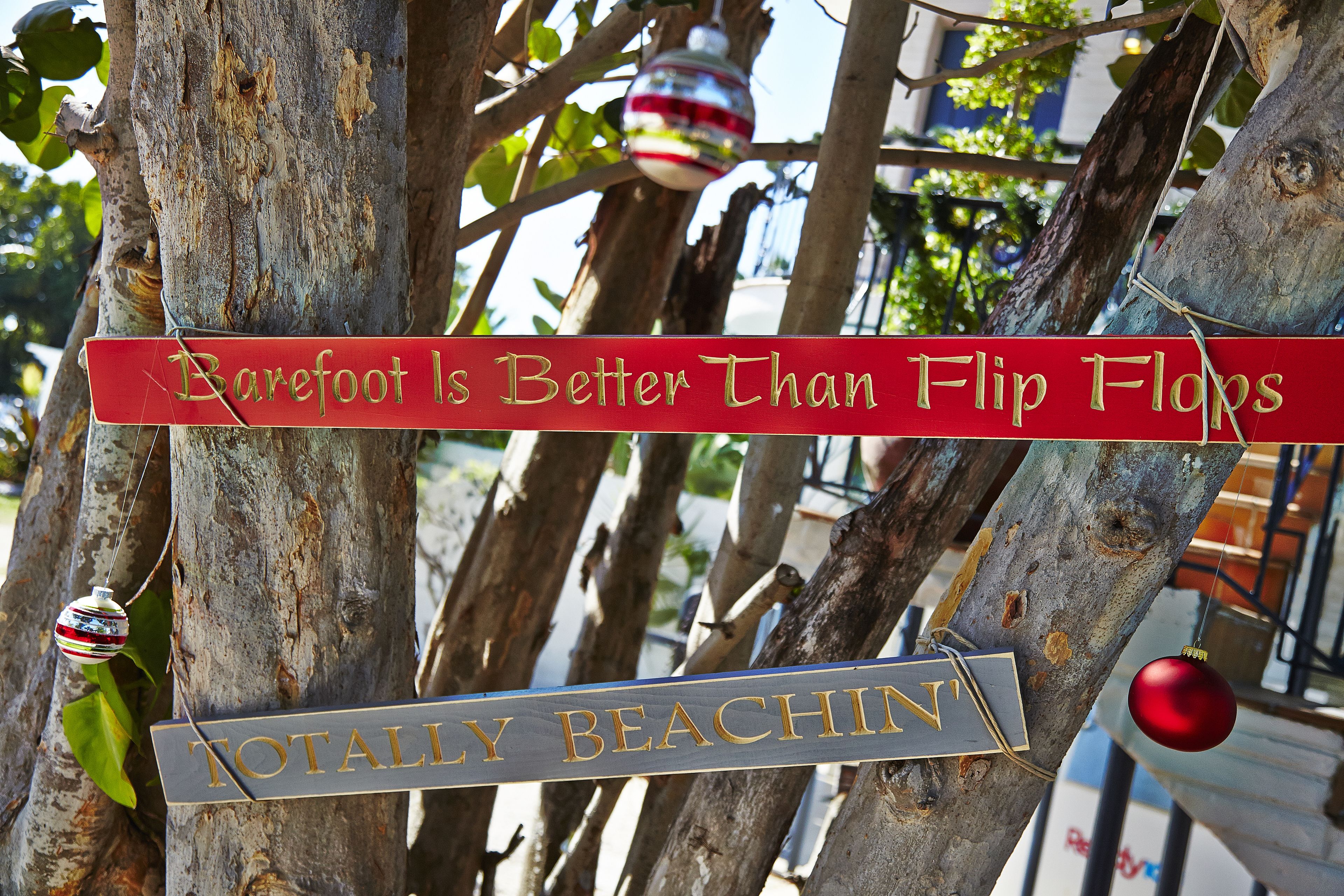 Een boom met borden waarop staat: 'Barefoot is Better Than Flip Flops' en 'Totally Beachin'.
